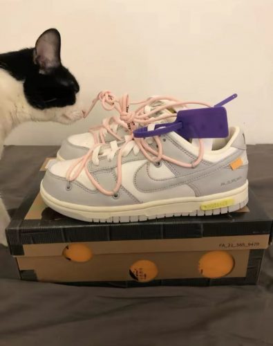 Dunk Low × OFF-White 