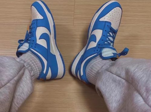 Dunk Low “Coast”（men） photo review