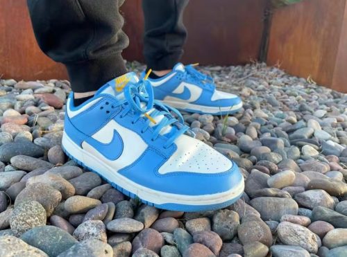 Dunk Low “Coast”（men） photo review