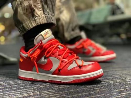 Off-White x Dunk Low LTHR OW photo review