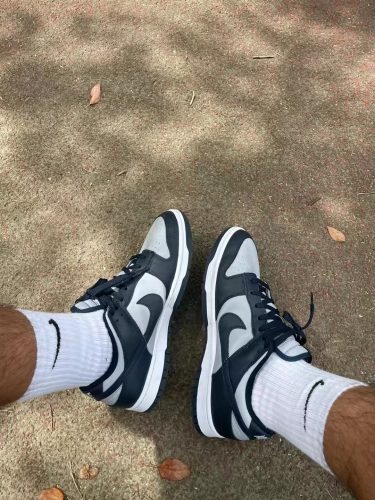 Dunk Low Retro 