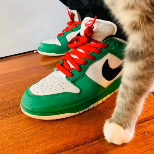 Dunk SB Low Heineken photo review