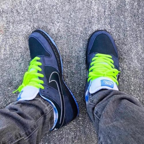 Dunk SB Low 